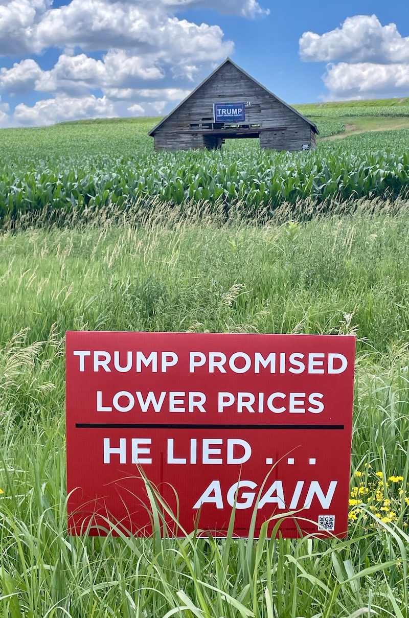 Trump Promised Lower Prices — yard sign in a cornfield with a barn